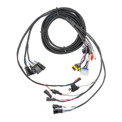 ISO9001 Certified Golf Cart Wire Harness with 1 Year Warranty and 15-20 Days Delivery for Audio Systems