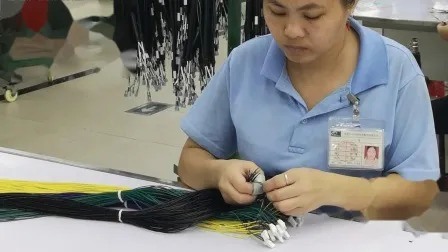 Customized Tooling Can Bus Wire Harness for Eyewatch with 5m Length Over 10 Conductors and ISO9001 IATF16949 Certified